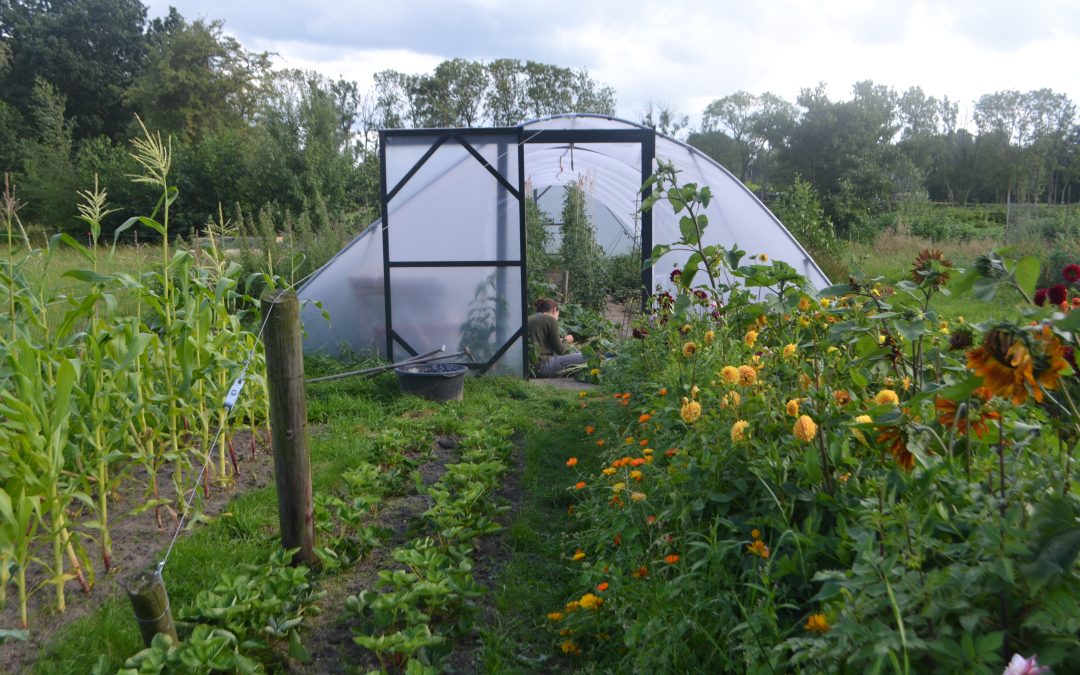 Biodynamische boerderij De Kompenije & Tuinderij Het Midden